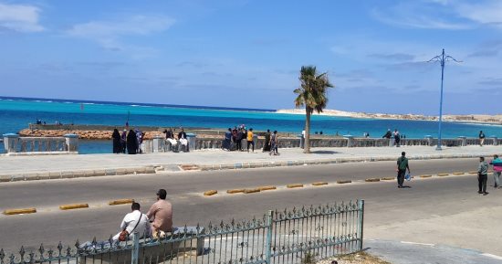 الأرصاد: أجواء ربيعية على أغلب الأنحاء تسمح بالتنزه والاستمتاع بشم النسيم