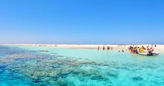 جزر جنوب البحر الأحمر جنة على الأرض.. العاملون فى النشاط البحرى يستعدون للرحلات البحرية اليومية خلال أيام الصيف.. شواطئ سيال وأم الشيخ وشواريت ومحابيس الرملية الأكثر طلبا بالنسبة للنشاط البحرى بمرسى علم.. صور