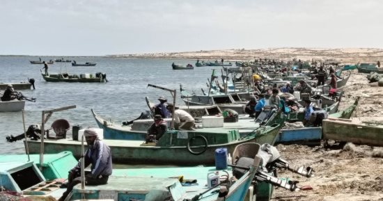 المراكب تستعد لموسم الصيد فى بحيرة البردويل على ساحل شمال سيناء.. فيديو