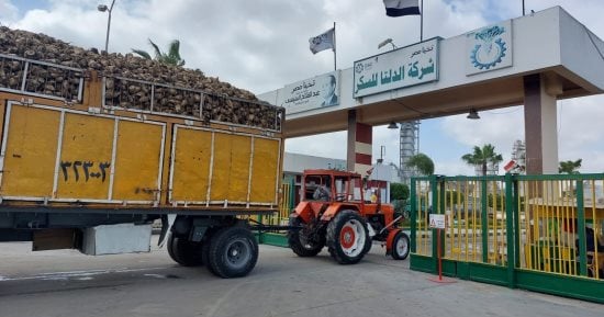 ملاحظات بالمليارات على القوائم المالية لـ الدلتا للسكر.. وتراجع حاد في الأرباح
