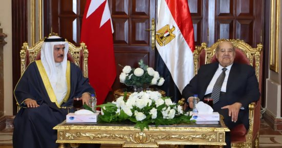 رئيس الشيوخ يستقبل رئيس مجلس النواب البحرينى