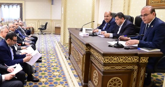 المثلث الذهبى.. 32 مليون جنيه إجمالى مشروع موازنة "المنطقة الاقتصادية"