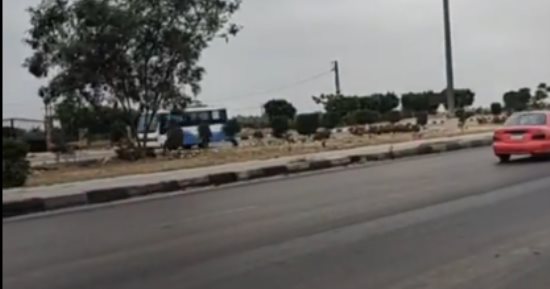 طقس صيفي معتدل بالإسماعيلية ونشاط للرياح وزوال الشبورة.. فيديو 