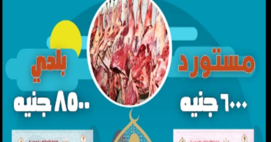 ضحوا فإنها سنة أبيكم إبراهيم.. دار الإفتاء توضح حكم الاستدانة لشراء الأضحية