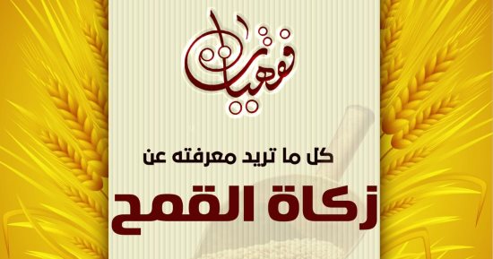 كل ما تريد معرفته عن زكاة القمح.. مركز الأزهر للفتوى يوضح