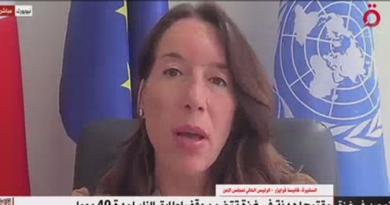 مجلس الأمن: بذلنا جهودا كبيرة للاعتراف بالدولة الفلسطينية لكن أجُهضت بالفيتو