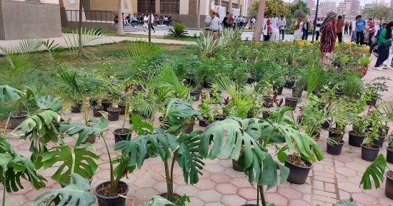 رئيس جامعة بنها يفتتح معرض الزهور الأول احتفالا بأعياد الربيع