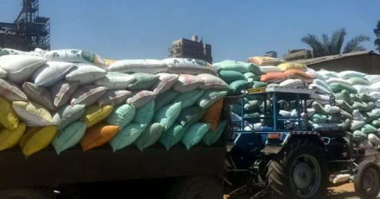 استلام 193 ألف و191 طن قمح بـ 25 موقعاً فى كفر  الشيخ