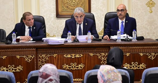 "قوى النواب" توافق على موازنة الجهاز المركزى للتنظيم والإدارة بـ374 مليون جنيه