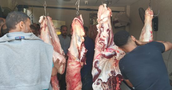 حملة تفتيشية مكبرة على محلات بيع اللحوم والأسماك بالحوامدية.. صور