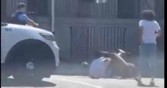 كلاب ضالة تهاجم مسنا فى أمريكا.. وشرطى يقتل أحدها لإنقاذه قبل أن تمزقه.. فيديو