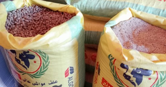 "الاستثمار" تمدد رسوم الصادر على مكونات الأعلاف لمدة عام
