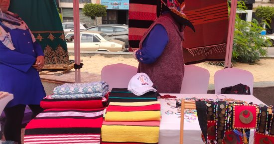 سيدات الشرقية يبدعن في صناعة الكليم والسجاد اليدوي بمعرض أيادي مصر.. لايف