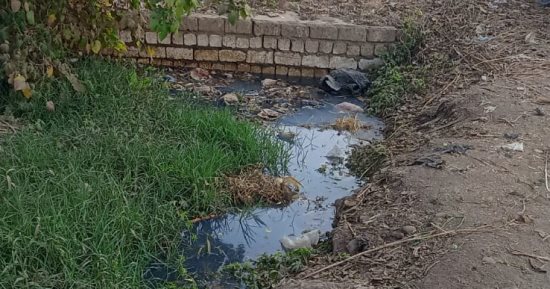 أهالى قرية محلة سبك بالمنوفية يناشدون بحفر مروى.. ورئيس المدينة: دراسة المشكلة وحلها