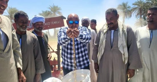 فرحة المزارعين فى أسوان بتوريد محصول القمح وزيادة الإنتاجية .. صور