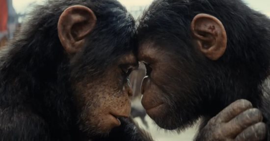 الفن – ترجع إيرادات فيلم Kingdom of the Planet of the Apes للنصف – البوكس نيوز