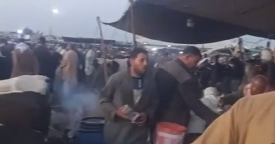 سوق المواشى فى كفر الشيخ.. انخفاض في الأسعار وطلب على الشراء "فيديو"