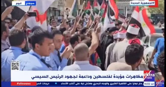 الآلاف يتظاهرون بالجيزة وسوهاج لدعم فلسطين وجهود الرئيس السيسى