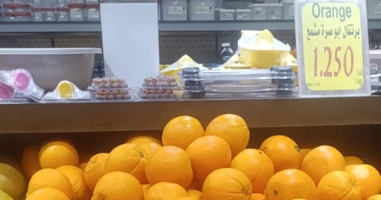 البرتقال المصري يسيطر على السوق الأردني والكيلو يتجاوز 80 جنيها.. صور