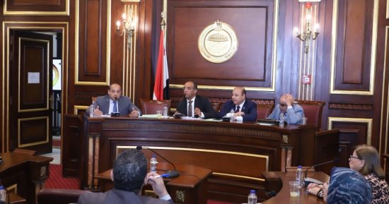 "صحة الشيوخ" توصى بتوفير المزيد من الخدمات الطبية المقدمة لقطاع جنوب القاهرة