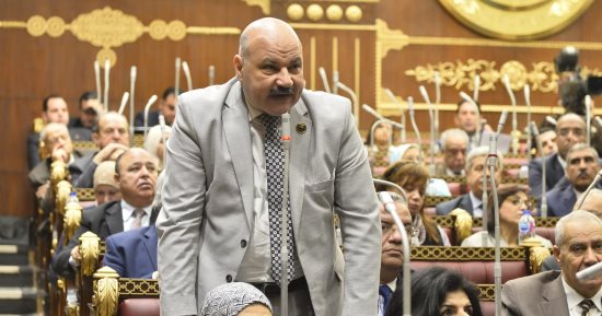 نائب بالشيوخ: الهيئات الشبابية تهدف لاكتشاف مواهب الشباب واستثمار أوقات الفراغ