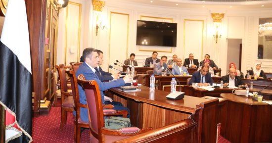 "صناعة النواب" تناقش خطة الحكومة لدعم الإنتاج المحلى للأدوية الحيوية