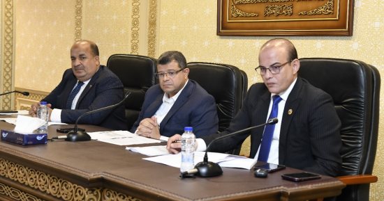 ممثل الهيئة العامة للاستثمار للنواب: طرح 4 مناطق حرة جديدة خلال 6 أشهر