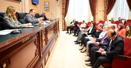 ممثل وزارة الرياضة للنواب: 3.8 مليار جنيه لمبادرة حياة كريمة بموازنة 2025/2024
