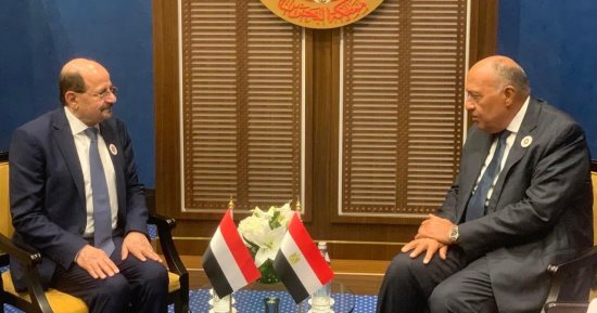 وزير الخارجية يبحث مع نظيره اليمنى تهديدات أمن الملاحة فى البحر الأحمر