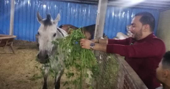 عشق الريف المصرى.. مواطن يحول حديقة منزله لحديقة حيوان مصغرة بالدقهلية.. اللاما والطاووس والعقاب وأنواع من الحيوانات والطيور والزواحف.. حسن: تربيت فى الريف منذ الصغر وأسعى لتربية أبنائى فى خير  الطبيعة.. صور