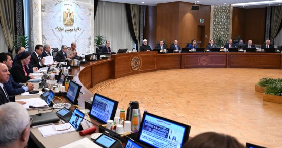 معلومات الوزراء: مشروع الجينوم المصرى سيحدث طفرة فى كل المجالات