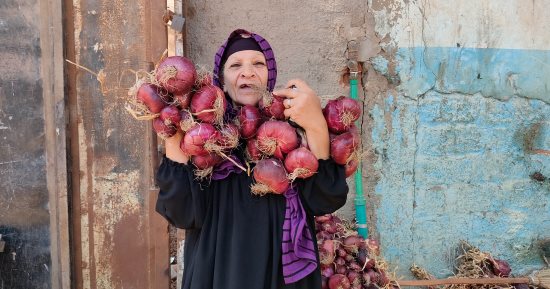 كيلو البصل بـ6 جنيهات فى الغربية.. فيديو