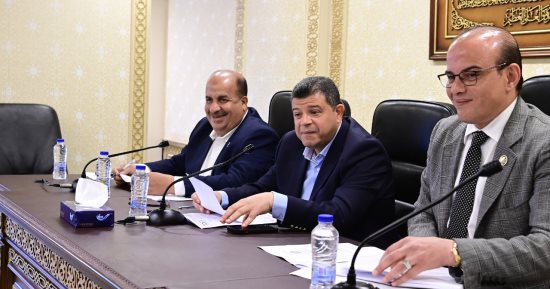 اقتصادية النواب تقر موازنة هيئة المعارض وتوصي بتغليظ عقوبة الإقامة دون ترخيص