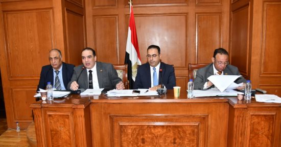 "رياضة النواب" توصى بالاجتماع مع 5 وزراء لتفعيل قرارات نقل ملكية أراضى الدولة