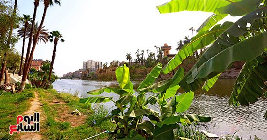جزيرة الروضة بالمنيل منطقة جذبت أسرة محمد علي باشا لتشييد القصور