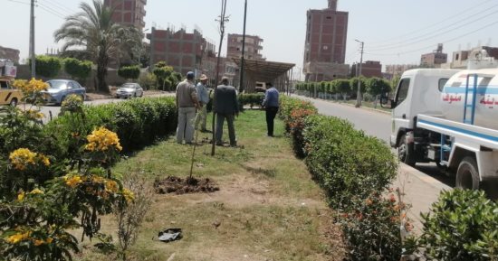حملة 100 مليون شجرة تواصل عملها فى المنوفية.. اعرف التفاصيل