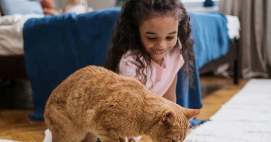 4 أبراج تحرص على شراء حيوان أليف لأطفالها.. عشان تسعدهم