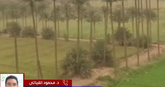 تجنبوا التعرض للشمس.. الأرصاد تحذر من موجة شديدة الحرارة هذا الأسبوع.. فيديو