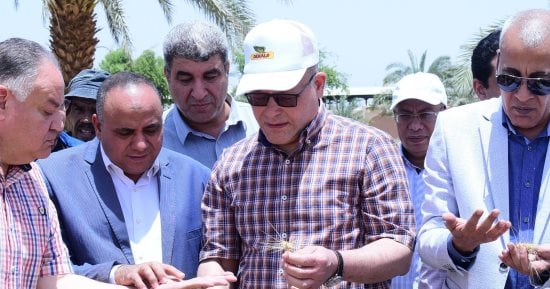 رئيس جامعة سوهاج يشهد موسم حصاد تقاوى القمح لخدمة مزارعي المحافظة.. صور