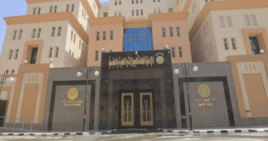 الجريدة الرسمية تنشر أسماء الحاصلين على جنسيات أجنبية