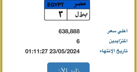 لوحة سيارة "بطل - 3” يصل سعرها لـ640 ألف جنيه بعد تنافس 6 متزايدين عليها