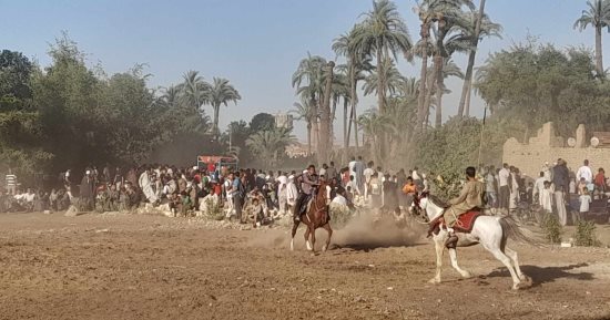 "اللى يموت ما لهوش ديَّة" حكايات مشايخ لعبة التحطيب من مولد الشيخ حسن عامر بقنا.. تتوارثها الأجيال ويتعلمها الصغار من الآباء.. المرماح والتحطيب أبرز مظاهر الاحتفال وخروج "الثوب" على جمال فى اليوم الختامى.. صور