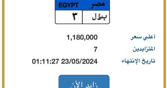 7 مزايدين يتنافسون على لوحة سيارة "بطل - 3".. وسعرها يتخطى مليون جنيه 