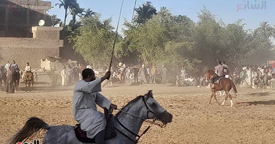 الفارس ينزل الميدان.. التحطيب والمرماح موروث شعبي لأهالى الصعيد