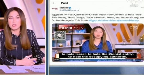 قصواء الخلالى ردا على معهد بحوث بواشنطن: دفاعى عن فلسطين ليس جريمة