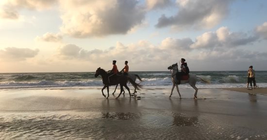 درة الجمال وسحر الطبيعة..  شمال سيناء أيقونة الاستمتاع على شاطئ البحر المتوسط