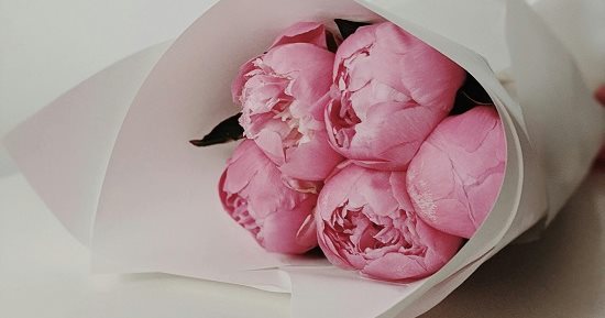 معرض الزهور بالمتحف الزراعى.. 4 أنواع اكسبى بيها قلب حماتك 