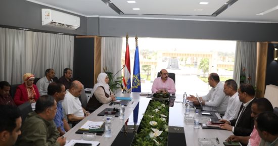 محافظ أسوان: وضع اللمسات الأخيرة للانتهاء من مشروع محور بديل الخزان