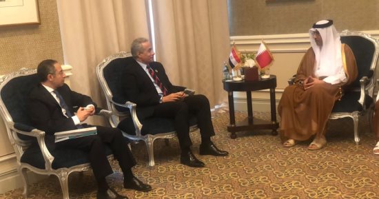 وزير العمل لنظيره القطرى: مستعدون لتوفير العمالة المصرية الماهرة المختلفة