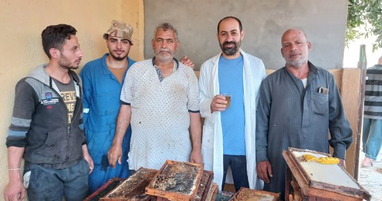 فيه شفاء للناس.. شاهد تجربة حية لاستخراج عسل النحل من قطفة البرسيم